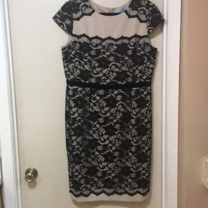 Antonio Melani Creme Dress with Black Lace size 14
